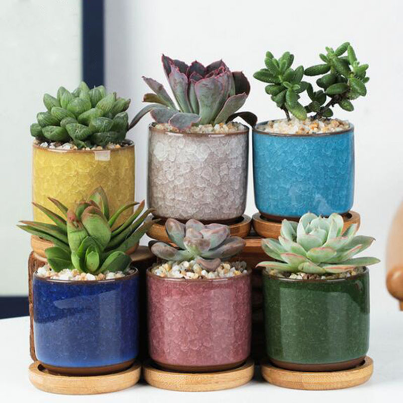 Aloe Vera Pot - 6pcs/set Ceramic Flowerpot Set Mini Thumb