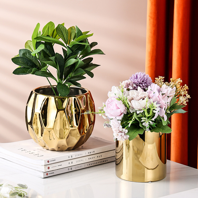 Nordic Style Geometric Shape C - Aloe Vera Pot review and price