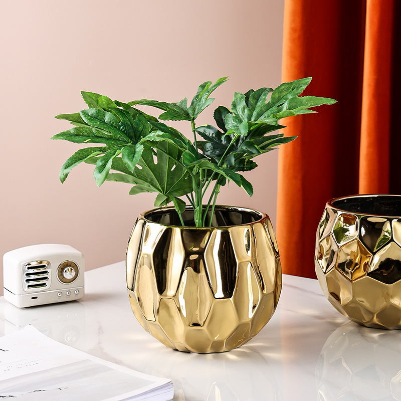 Nordic Style Geometric Shape C - Aloe Vera Pot review and price