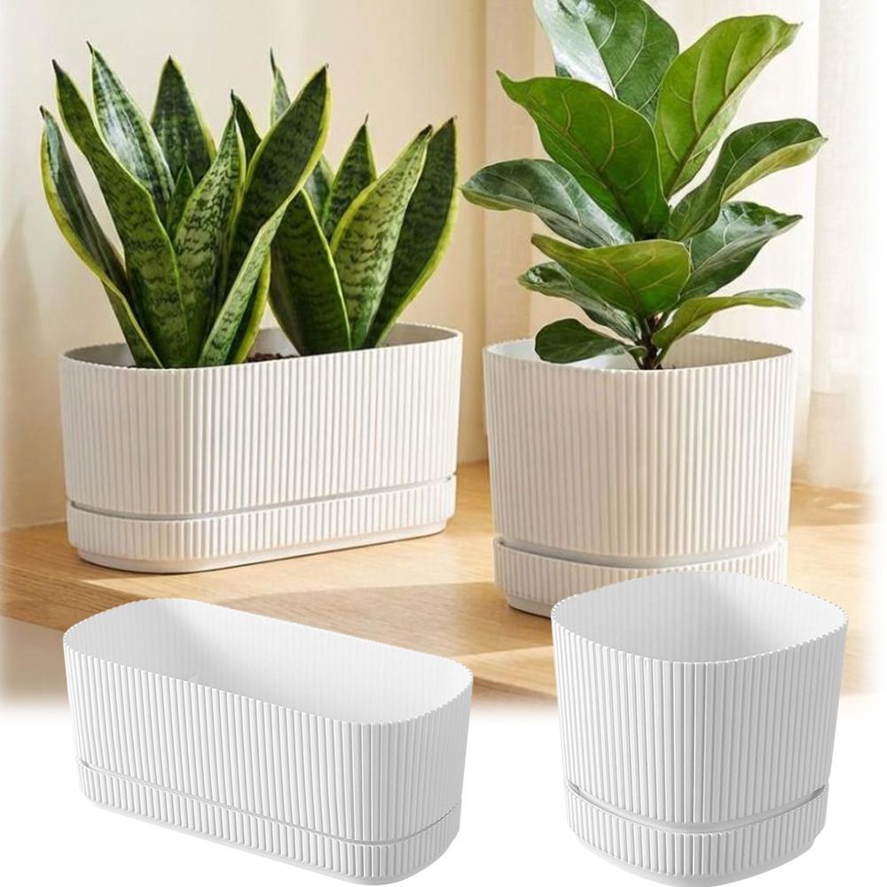Plastic Self Watering Flower P - Aloe Vera Pot review and price