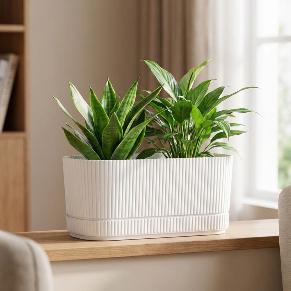 Plastic Self Watering Flower P - Aloe Vera Pot review and price