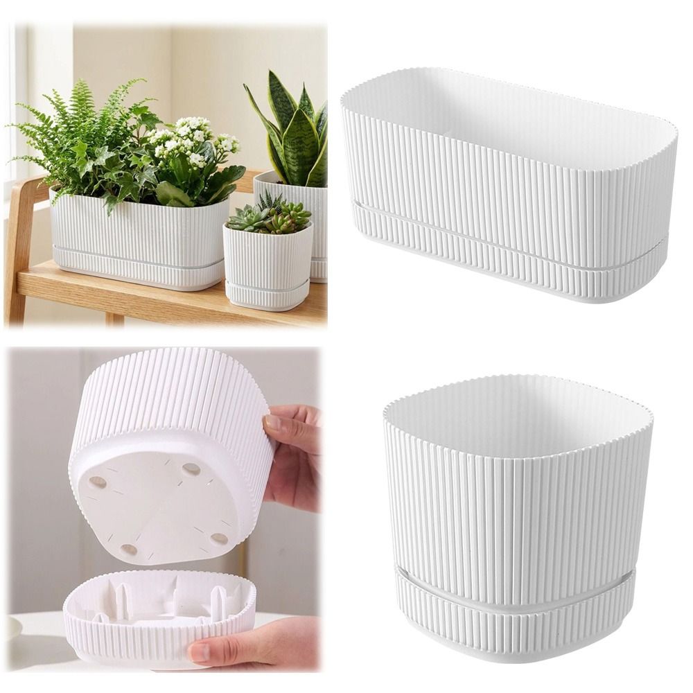 Plastic Self Watering Flower P - Aloe Vera Pot review and price