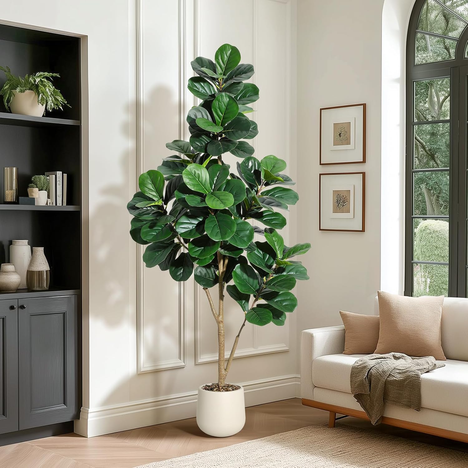 4-7 FT Fiddle Leaf Fig Tree Ar - Dracaena Marginata review and price
