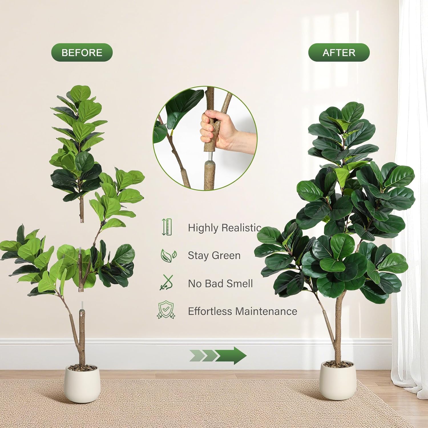 4-7 FT Fiddle Leaf Fig Tree Ar - Dracaena Marginata review and price