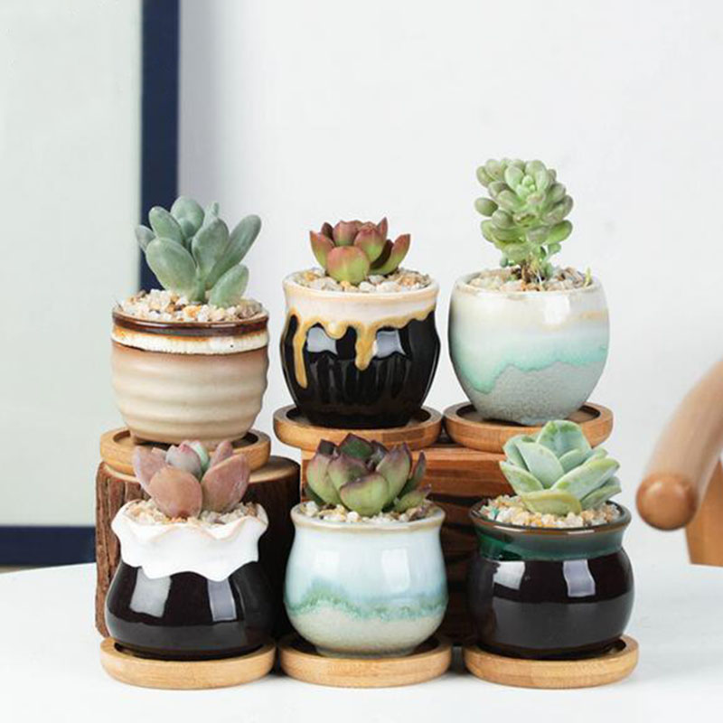 6pcs/set Ceramic Flowerpot Set - Aloe Vera Pot review and price