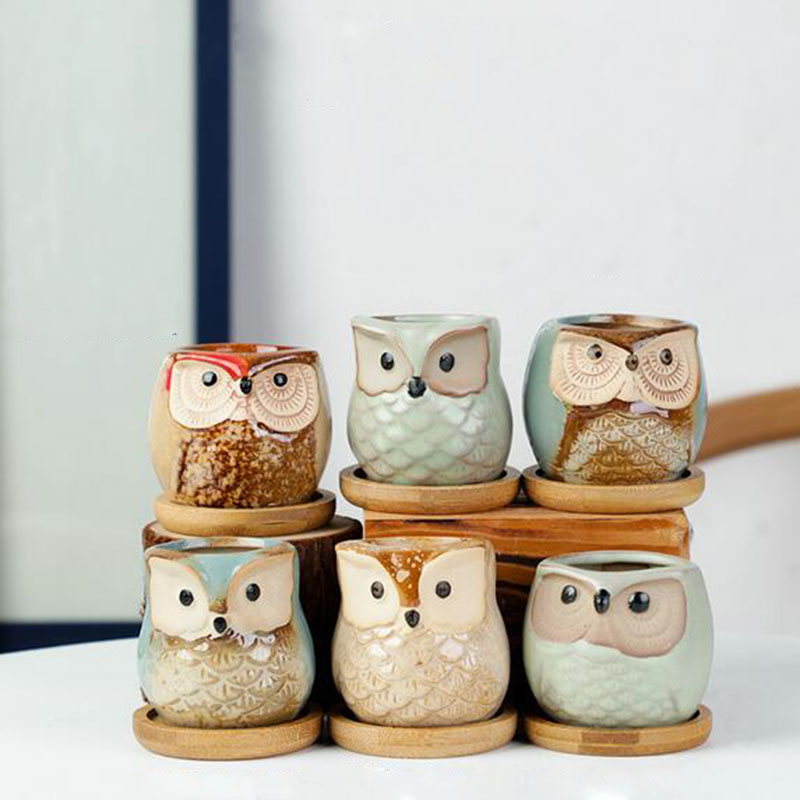 6pcs/set Ceramic Flowerpot Set - Aloe Vera Pot review and price