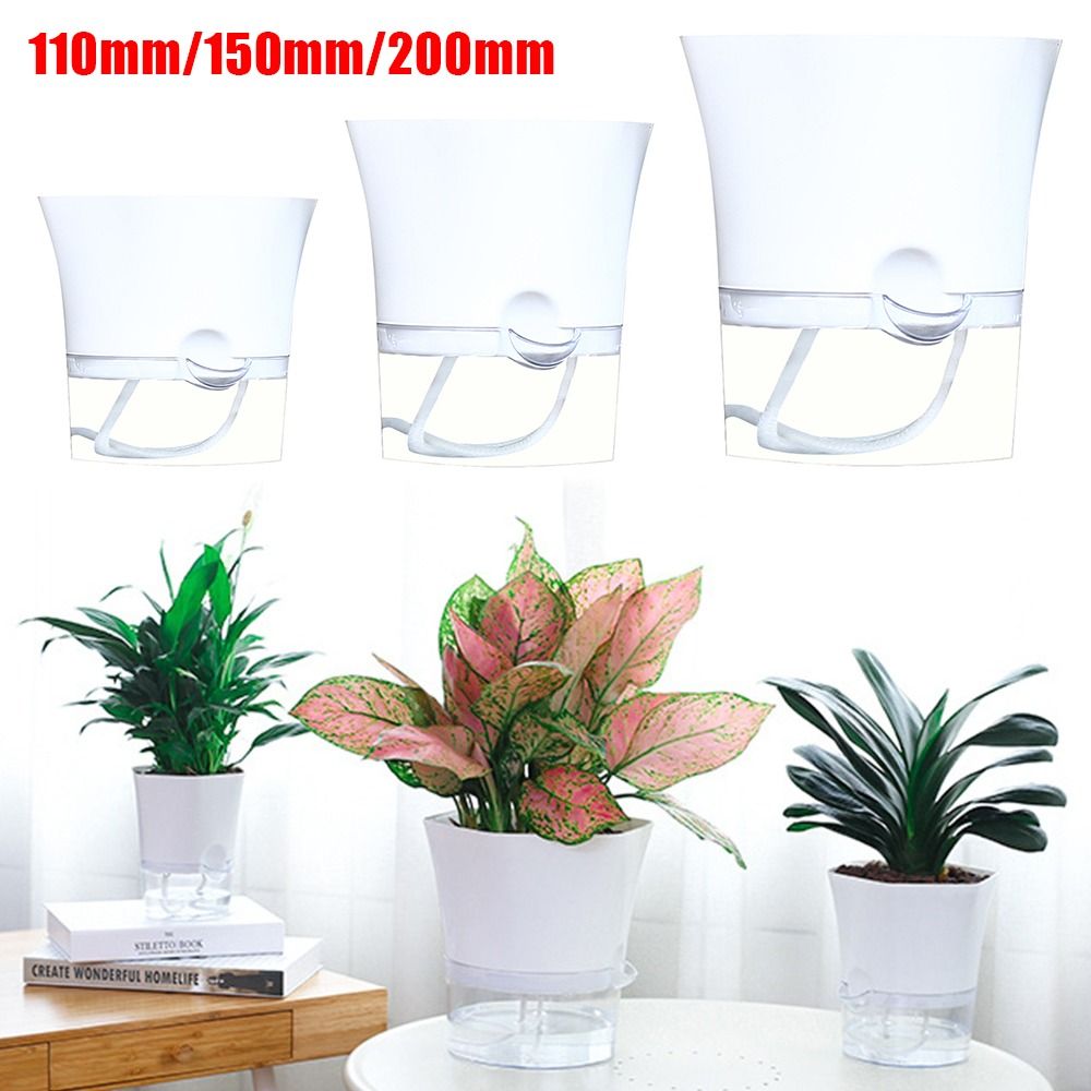Transparent Double Layer Plast - Aloe Vera Pot review and price