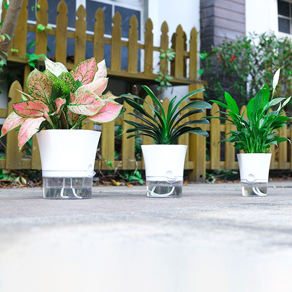 Transparent Double Layer Plast - Aloe Vera Pot review and price