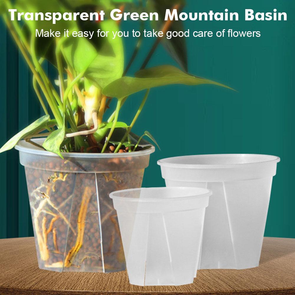 Transparent Plastic Pots Root  - Aloe Vera Pot review and price