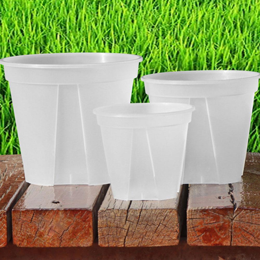 Transparent Plastic Pots Root  - Aloe Vera Pot review and price