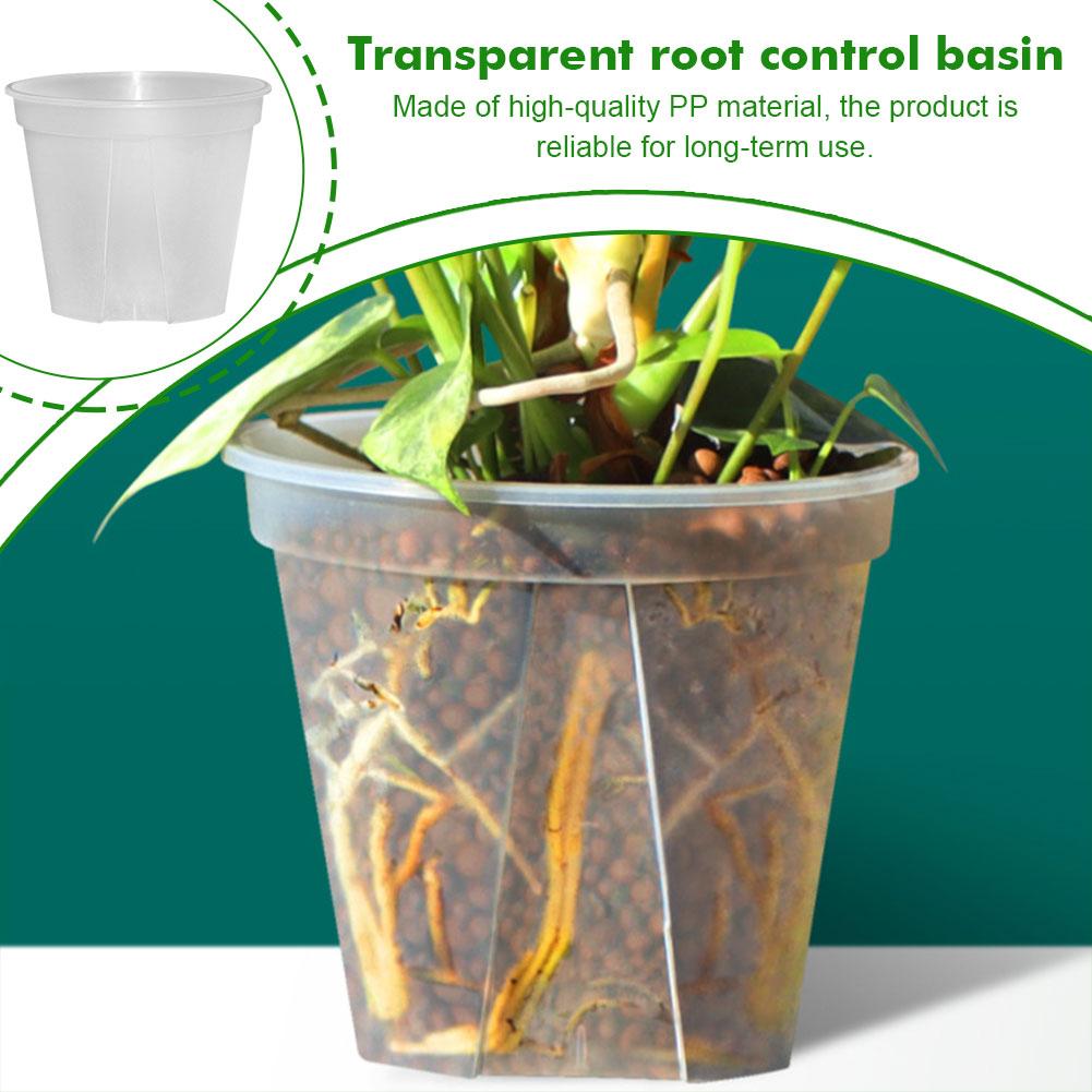 Transparent Plastic Pots Root  - Aloe Vera Pot review and price