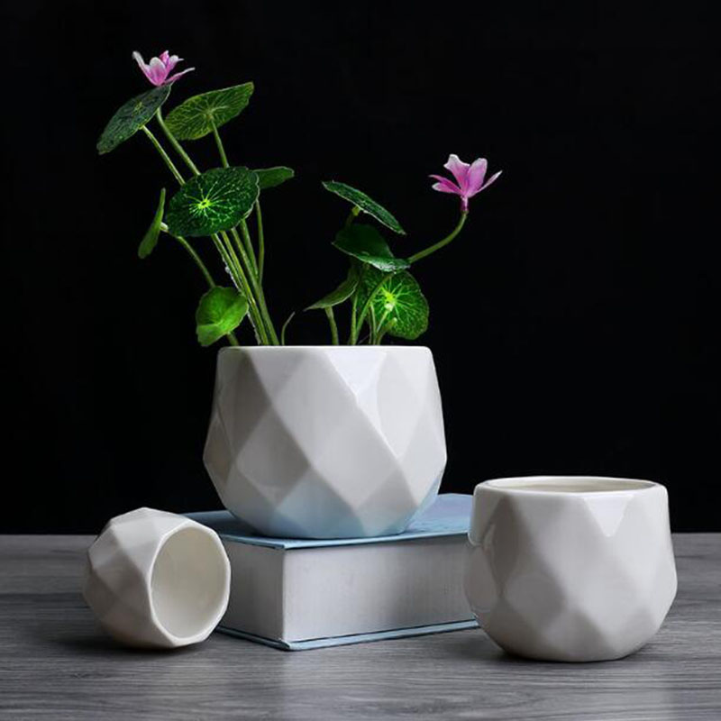 European Simplicity Style Whit - Aloe Vera Pot review and price