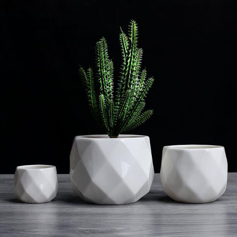 European Simplicity Style Whit - Aloe Vera Pot review and price