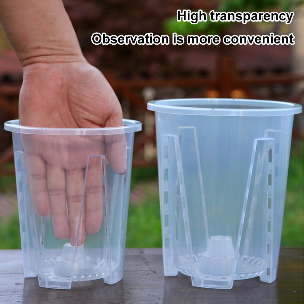 5PCS/Kit Clear Plastic Orchid  - Aloe Vera Pot review and price